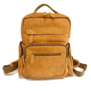 Leather Backpack (Limited)